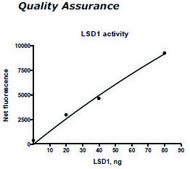 LSD1 Active human recombinant, expressed in E. coli, ≥70% (SDS-PAGE)