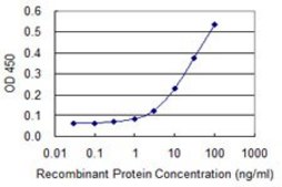 Monoclonal Anti-FKBP10 antibody produced in mouse clone 1C6, purified immunoglobulin, buffered aqueous solution