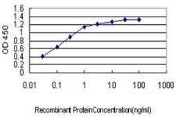 Monoclonal Anti-JPH1 antibody produced in mouse clone 2E6, purified immunoglobulin, buffered aqueous solution