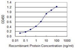 Monoclonal Anti-PARP1, (N-terminal) antibody produced in mouse clone 2C7, purified immunoglobulin, buffered aqueous solution