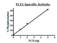 Flt3 active human recombinant, expressed in baculovirus infected Sf9 cells, ≥80% (SDS-PAGE)