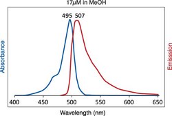 TopFluor™胆固醇 Avanti Research™ - A Croda Brand