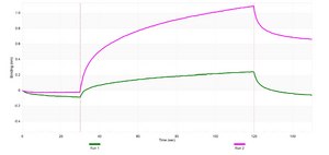 Anti-Nur77/NR4A1 Antibody, clone 1F2 ZooMAb® Rabbit Monoclonal recombinant, expressed in HEK 293 cells
