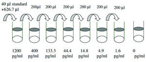 人 TIMP-2 ELISA 试剂盒 for serum, plasma, cell culture supernatant and urine