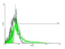 Anti-IL2RB antibody produced in mouse purified immunoglobulin, buffered aqueous solution