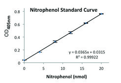 Amylase Activity Assay Kit sufficient for 100 colorimetric&nbsp;tests