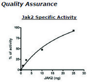 Jak2 Jh1 Active human recombinant, expressed in baculovirus infected insect cells, ≥80% (SDS-PAGE)