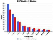 抗-Sirt3 兔抗 affinity isolated antibody, buffered aqueous solution