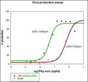 Interferon-γ human IFN-gamma, recombinant, expressed in HEK 293 cells, suitable for cell culture, endotoxin tested