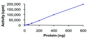 PDGFR-α, active, GST tagged from mouse PRECISIO®, recombinant, expressed in baculovirus infected Sf9 cells, ≥70% (SDS-PAGE), buffered aqueous glycerol solution