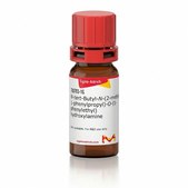 N-tert-Butyl-N-(2-methyl-1-phenylpropyl)-O-(1-phenylethyl)hydroxylamine