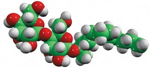 Mal(11.1) dodecan-2-yloxy-β-D-maltoside, powder