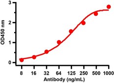 Anti-SARS-CoV-2 (COVID-19) Nucleocapsid antibody produced in rabbit affinity isolated antibody