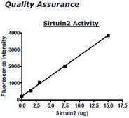 Sirtuin 2 human recombinant, expressed in E. coli, ≥80% (SDS-PAGE)