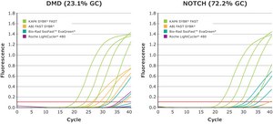 KAPA SYBR® FAST suitable for qPCR, 2 ×, Bio-Rad iCycler®