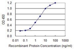 Monoclonal Anti-PPP1R1B antibody produced in mouse clone 3G11, purified immunoglobulin, buffered aqueous solution
