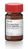 Thrombin from bovine plasma lyophilized powder, 40-500 NIH units/mg protein (biuret)