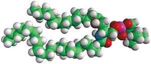 Milk SM Avanti Research™ - A Croda Brand