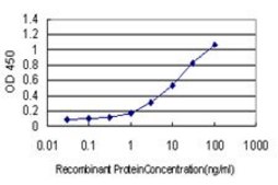 Monoclonal Anti-NR2E3 antibody produced in mouse clone 2A12, purified immunoglobulin, buffered aqueous solution