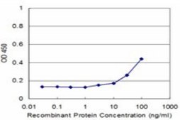 Monoclonal Anti-UCP1 antibody produced in mouse clone 4B7, purified immunoglobulin, buffered aqueous solution