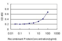 Monoclonal Anti-NR0B2 antibody produced in mouse clone 1A11, purified immunoglobulin, buffered aqueous solution