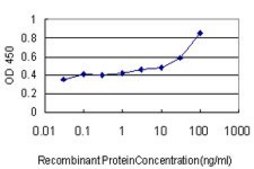 ANTI-TLR9 antibody produced in mouse clone 3B7, purified immunoglobulin, buffered aqueous solution