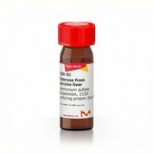 Esterase from porcine liver ammonium sulfate suspension, ≥150 units/mg protein (biuret)