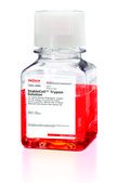 StableCell™胰蛋白酶溶液 10X, sterile-filtered, BioReagent, suitable for cell culture, 5.0 g porcine trypsin and 2 g EDTA, 4Na per liter of 0.9% sodium chloride