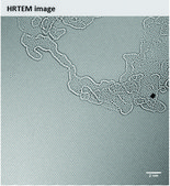 Monolayer graphene film 1 in x 1 in on copper foil, with PMMA coating, avg. no. of layers, 1