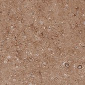 Anti-CSPG4 antibody produced in rabbit Prestige Antibodies® Powered by Atlas Antibodies, affinity isolated antibody, buffered aqueous glycerol solution