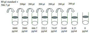 Human MMP-13 ELISA Kit for serum, plasma, cell culture supernatant and urine