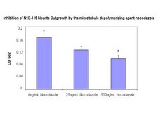Neurite Outgrowth Assay Kit (3 µm) The NS220 Neurite Outgrowth Assay Kit (3 µm) is based on the use of Millicell cell culture inserts (chambers) containing a permeable membrane with 3-μm pores at the base.