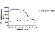 ChemiScreen CXCR6 Membrane Preparation Human CXCR6 GPCR membrane preparation for Radioligand binding Assays &amp; GTPγS binding.