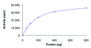 PDHK3, active, GST tagged human PRECISIO® Kinase, recombinant, expressed in baculovirus infected Sf9 cells, ≥70% (SDS-PAGE), buffered aqueous glycerol solution