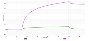 Anti-Caspase-6 Antibody, clone 3I12 ZooMAb® Rabbit Monoclonal recombinant, expressed in HEK 293 cells