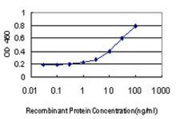Monoclonal Anti-COL4A6 antibody produced in mouse clone 1G11, purified immunoglobulin, buffered aqueous solution