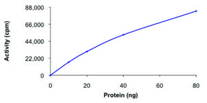 PAK6, active, GST tagged human PRECISIO® Kinase, recombinant, expressed in baculovirus infected Sf9 cells, ≥70% (SDS-PAGE), buffered aqueous glycerol solution