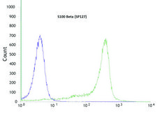 Anti-S100 Beta antibody, Rabbit monoclonal recombinant, expressed in proprietary host, clone SP127, affinity isolated antibody