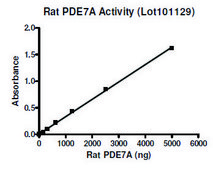 PDE7A active rat recombinant, expressed in baculovirus infected Sf9 cells, ≥30% (SDS-PAGE)