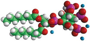 08:0 PI(3,4,5)P3 1,2-dioctanoyl-sn-glycero-3-phospho-(1′-myo-inositol-3′,4′,5′-trisphosphate) (ammonium salt), powder