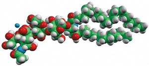 Ganglioside GM3 (Bovine Milk) Avanti Research™ - A Croda Brand