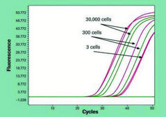 Protector RNase Inhibitor