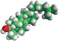 dihydrolanosterol Avanti Research™ - A Croda Brand
