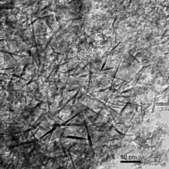 Aluminum oxide nanopowder, <50 nm particle size (TEM)