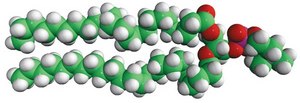 24:0 PC 1,2-dilignoceroyl-sn-glycero-3-phosphocholine, chloroform