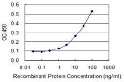 Monoclonal Anti-BNIP3L antibody produced in mouse clone 2E11, purified immunoglobulin, buffered aqueous solution