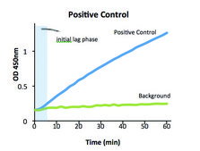 AST Activity Assay Kit sufficient for 100 colorimetric&nbsp;tests