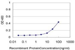 Monoclonal Anti-NOTCH3 antibody produced in mouse clone 2E2, purified immunoglobulin, buffered aqueous solution