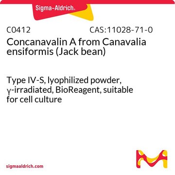 Concanavalin A from Canavalia ensiformis (Jack bean) Type IV-S, lyophilized powder, γ-irradiated, BioReagent, suitable for cell culture