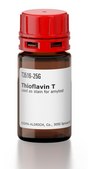 Thioflavin T used as stain for amyloid